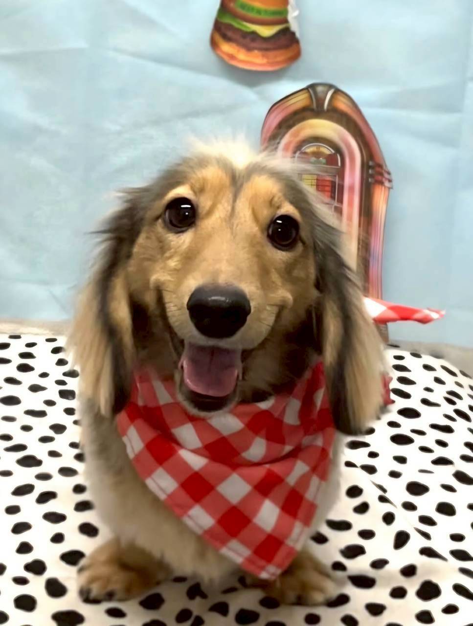 常務取締役 アル